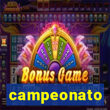 campeonato brasileiro standings